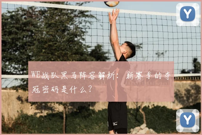 WE战队黑马阵容解析：新赛季的夺冠密码是什么？