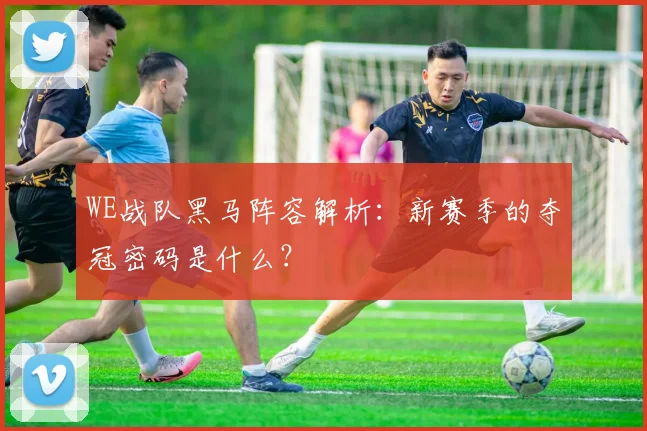 WE战队黑马阵容解析：新赛季的夺冠密码是什么？